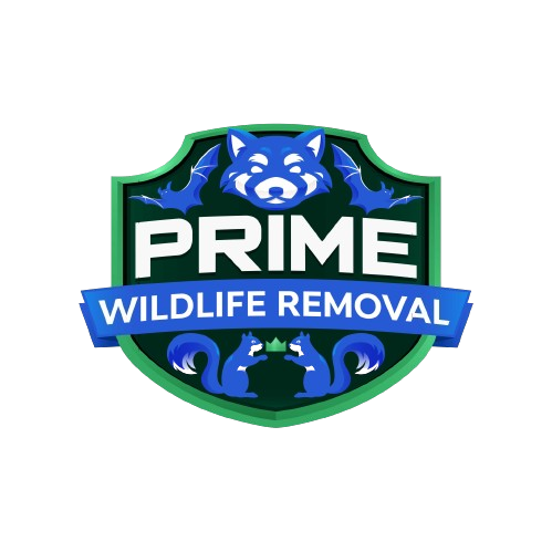 Wildlife Removal Calumet Township